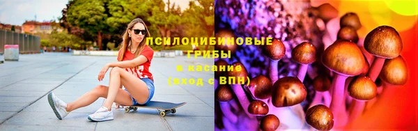 дурь Богданович