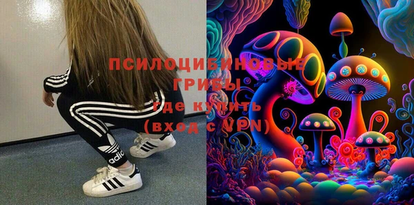 дурь Богданович