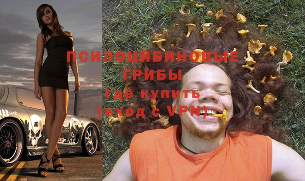 МДПВ Богородицк