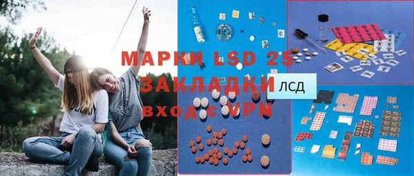 дурь Богданович