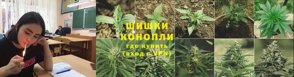 дурь Богданович