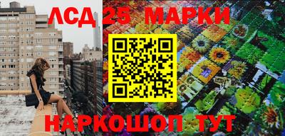 прущие грибы Краснознаменск