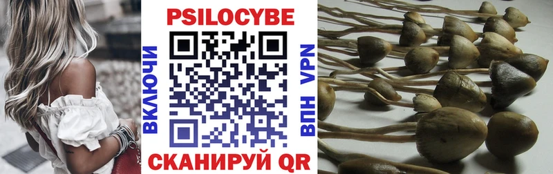 Псилоцибиновые грибы Magic Shrooms  Гусев 
