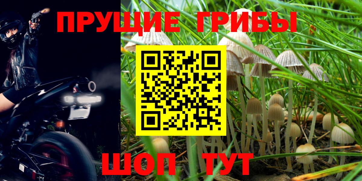 Галлюциногенные грибы MAGIC MUSHROOMS Гусев
