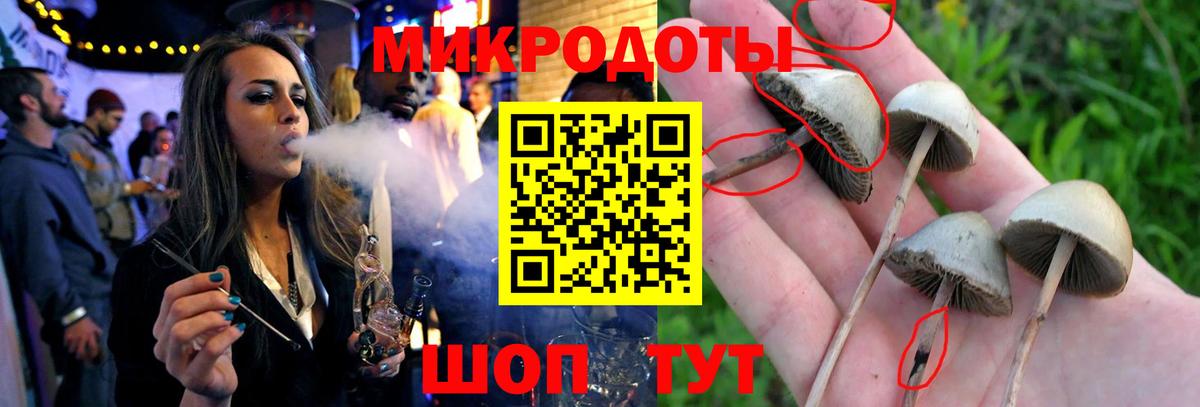 Галлюциногенные грибы Psilocybine cubensis  Вход с VPN  Гусев 