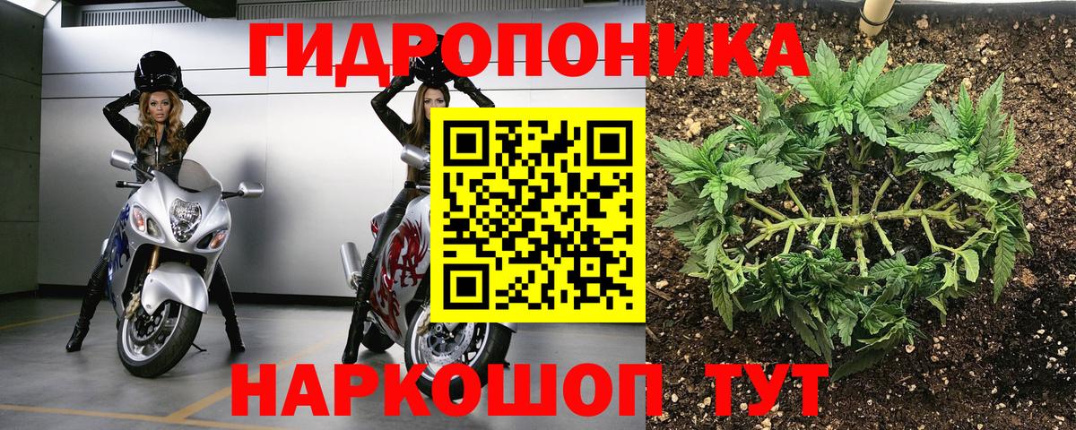 Гусев  Бошки марихуана SATIVA & INDICA  Марихуана Bruce Banner  Бошки марихуана план  Вход с VPN 